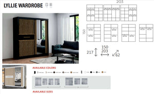 New Elevator LooksWish Luxury Lyllie sliding mirror Wardrobe