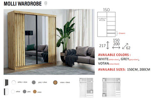 New Elevator LooksWish Luxury Molli sliding mirror Wardrobe
